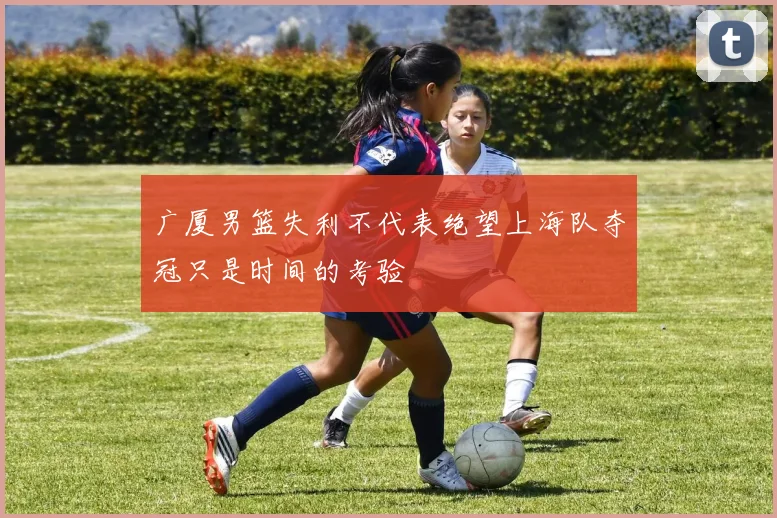 广厦男篮失利不代表绝望上海队夺冠只是时间的考验